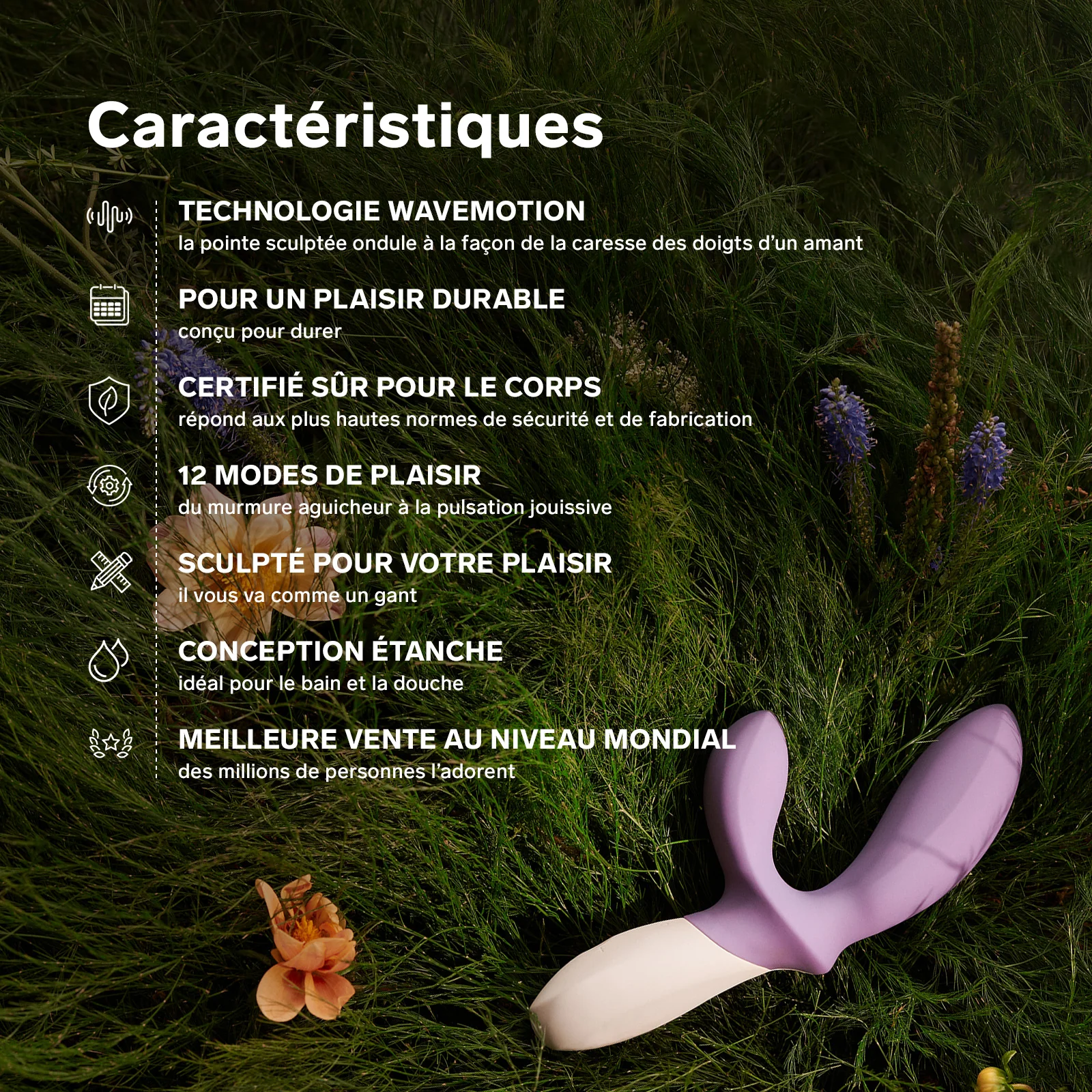 Image du produit 16